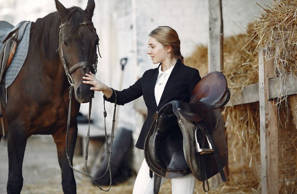 Equestrian Lifestyle