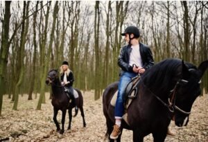 equestrian lifestyles in norwich uk